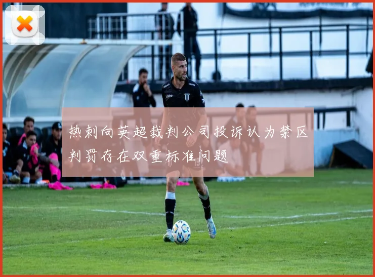 热刺向英超裁判公司投诉认为禁区判罚存在双重标准问题