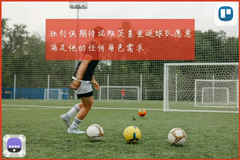 独行侠期待诺维茨基重返球队愿意满足他的任何角色需求