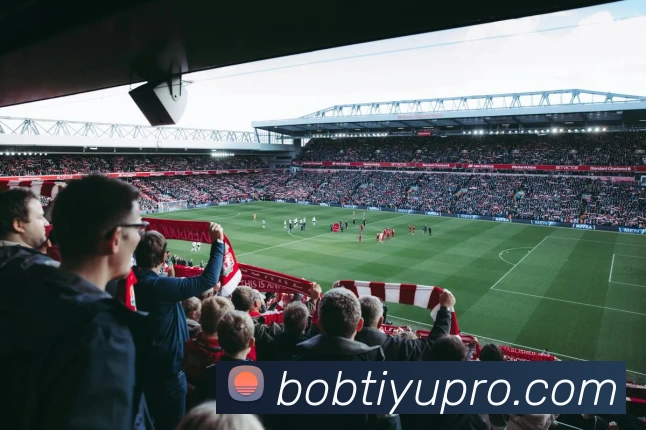 BOB体育发展历程